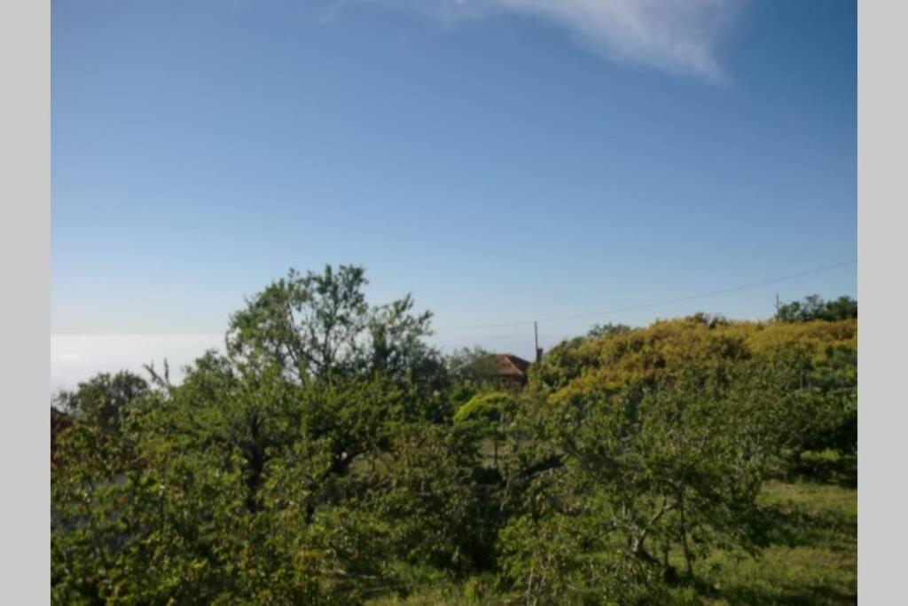 Casas Corea Puntagorda Kültér fotó